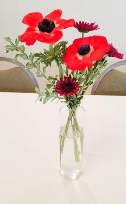 In Vino Veritas (May 2024)